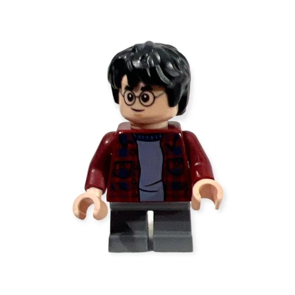 LEGO minifigure HARRY POTTER D1-53